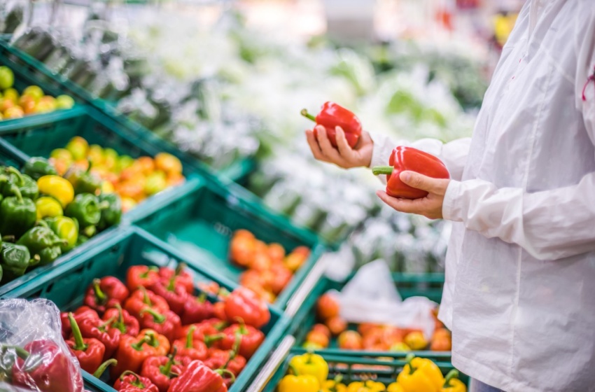 Académica entrega claves para elegir alimentos más saludables